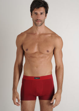 Cueca confeccionada em Fibra de bamboo.Composição: 94% Viscose de bamboo 6% Elastano. O kit contém 3 cuecas  plus size (GGG) em cores sortidas. 
