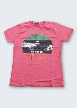     São 4 Camisetas de estampas diversas em cores sortidas (Pretas, mescla, vermelhas, verdes, azuis, amarelas e brancas; As cores não podem ser escolhidas... 