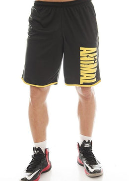 Shorts Poliéster para Academia Shorts de excelente qualidade, exclusivos aqui na MAROMBA MODA FITNESSComposição: 100% Poliéster 