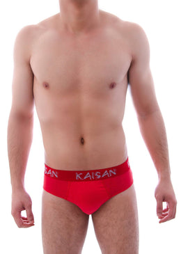 KIT COM 6 CUECAS SLIP 100% ALGODÃO. NAS CORES AZUL CLARO, AZUL ESCURO, VERMELHO, CINZA CLARO, CINZA ESCURO, CARAMELO. 